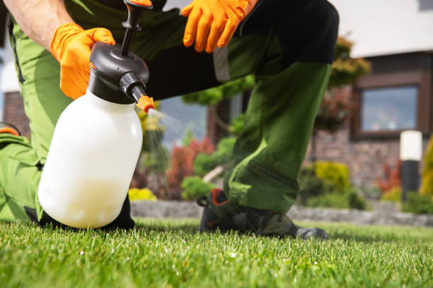 Pest Prevention Services in Fort Polk South, LA