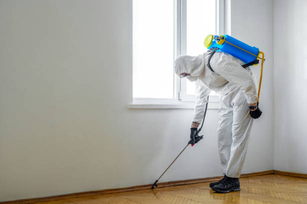 Best Local Pest Control Services  in Fort Polk South, LA