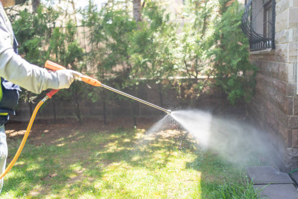 Best Wildlife Control Services  in Fort Polk South, LA